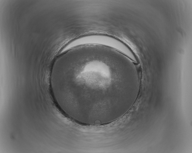 X0000112770009200908271651