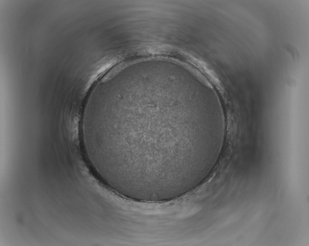 X0000112770010200908271651