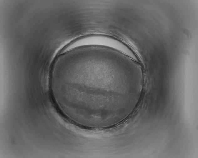 X0000112770012200908271651