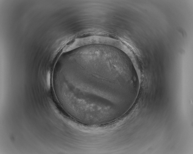 X0000112770014200908271651