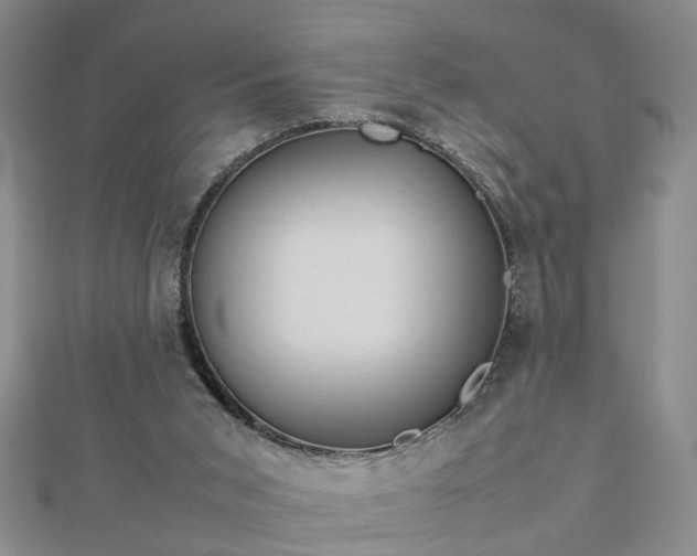 X0000112770015200908271651