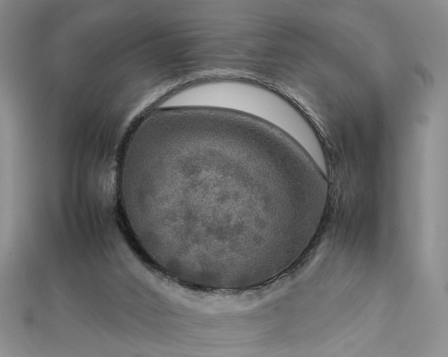 X0000112770016200908271651