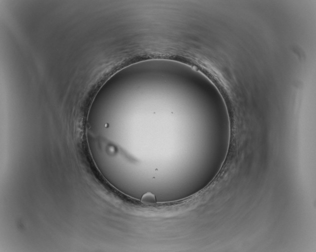 X0000112770017200908271651