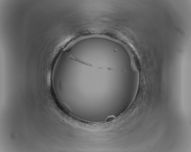 X0000112770019200908271651