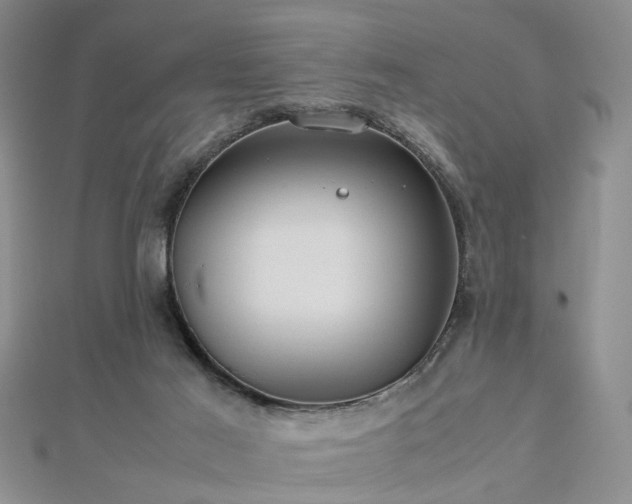 X0000112770021200908271651