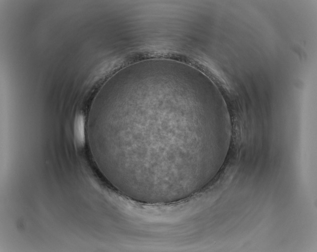 X0000112770022200908271651