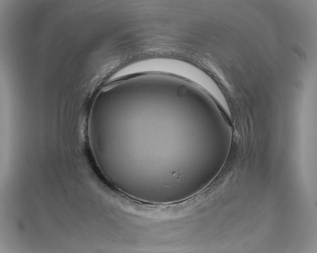 X0000112770023200908271651