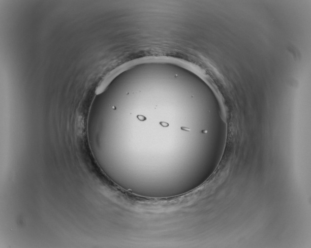 X0000112770025200908271651