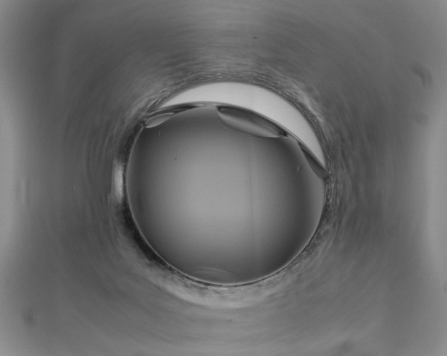 X0000112770027200908271651