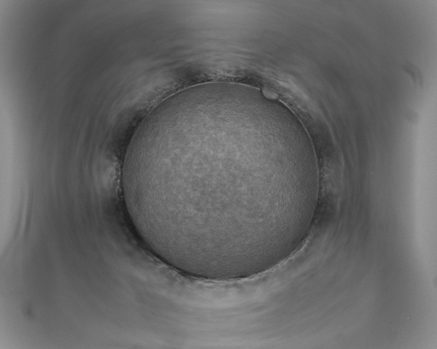 X0000112770029200908271651