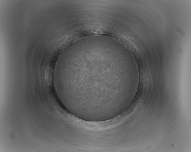 X0000112770030200908271651