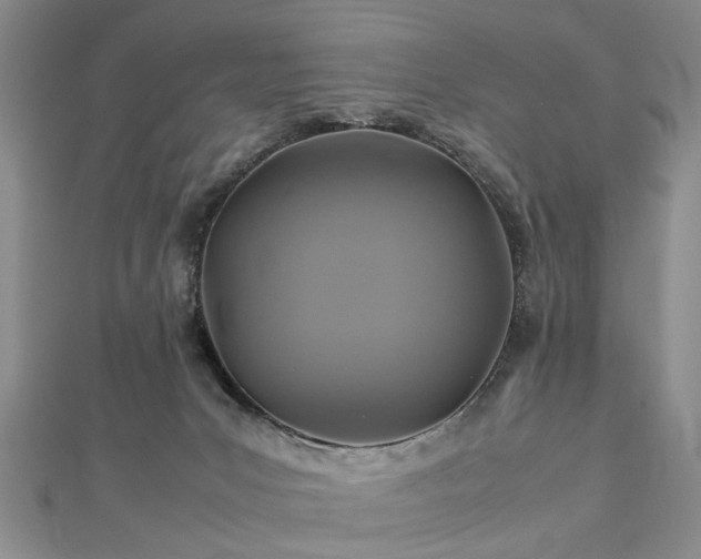 X0000112770031200908271651