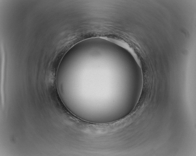 X0000112770033200908271651