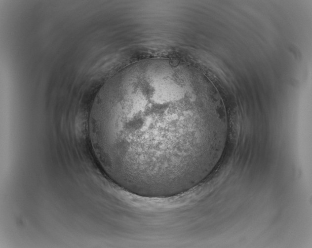 X0000112770034200908271651