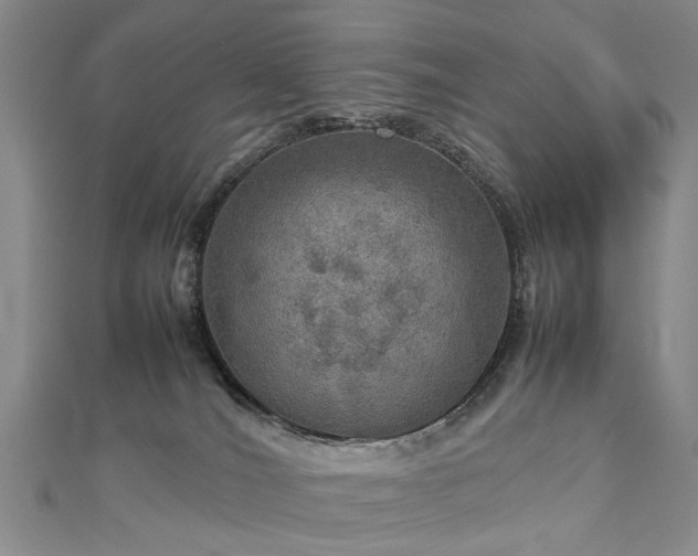 X0000112770036200908271651