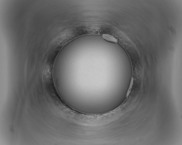 X0000112770037200908271651