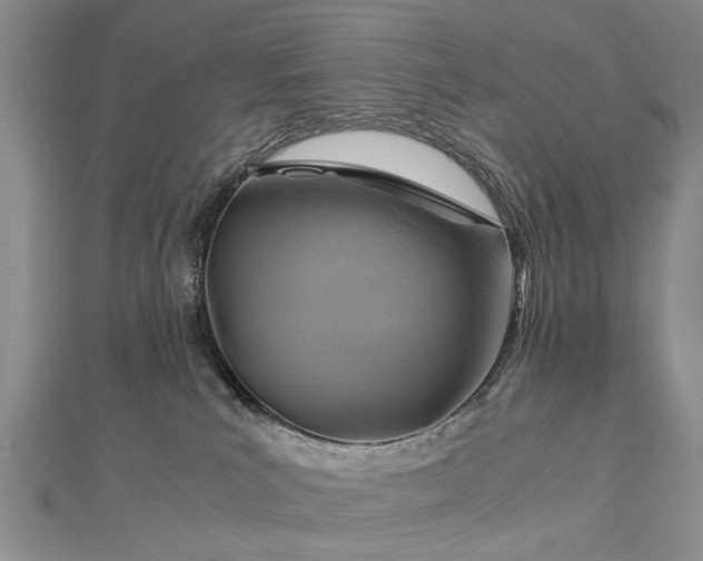 X0000112770039200908271651