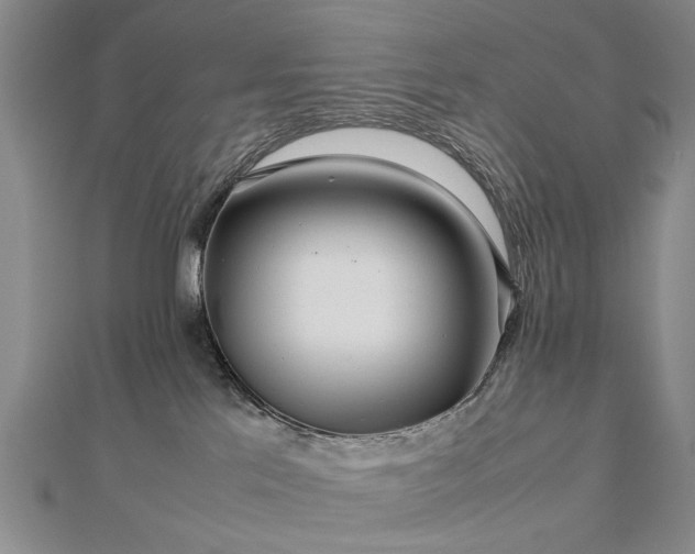 X0000112770041200908271651