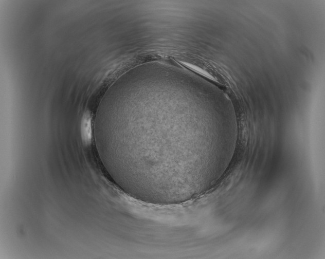 X0000112770042200908271651