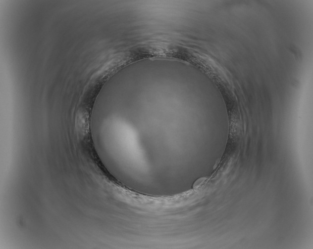 X0000112770043200908271651