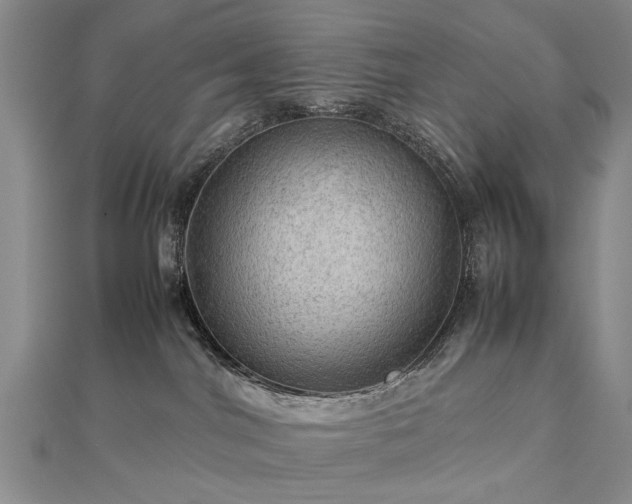 X0000112770044200908271651