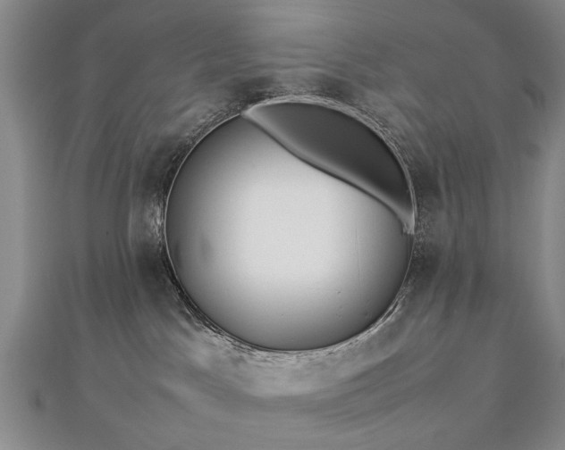 X0000112770045200908271651