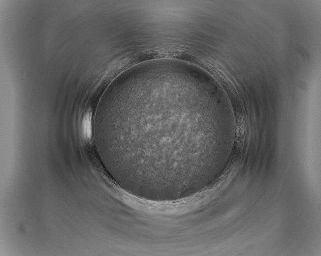 X0000112770046200908271651