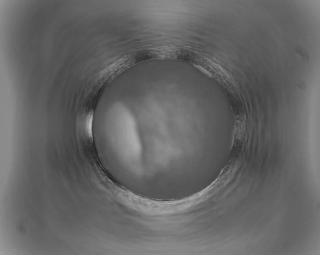 X0000112770047200908271651