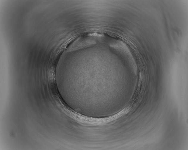 X0000112770048200908271651