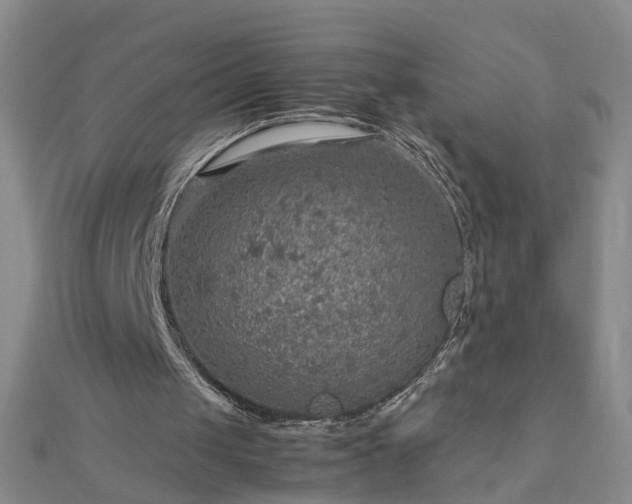 X0000112770049200908271650