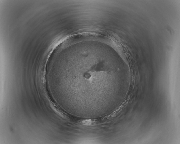 X0000112770050200908271650