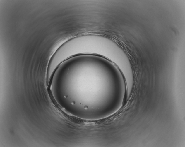 X0000112770052200908271650