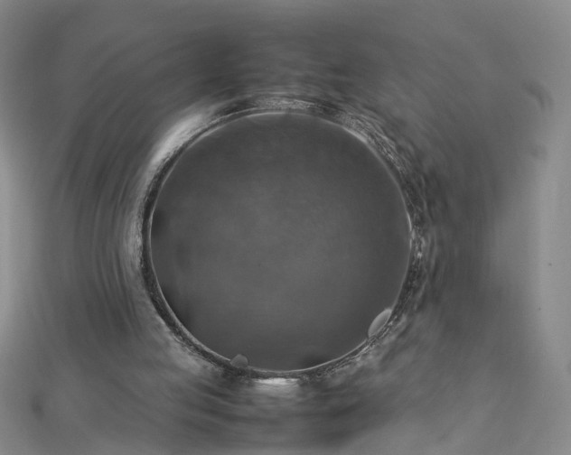 X0000112770053200908271650