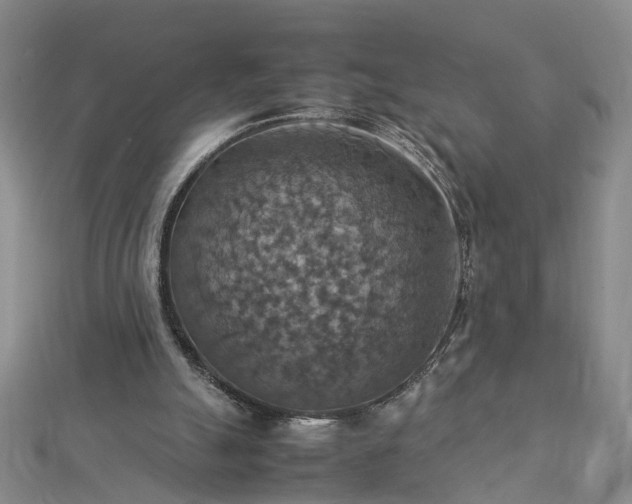 X0000112770055200908271650