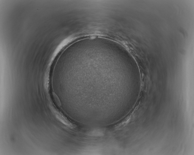 X0000112770056200908271650