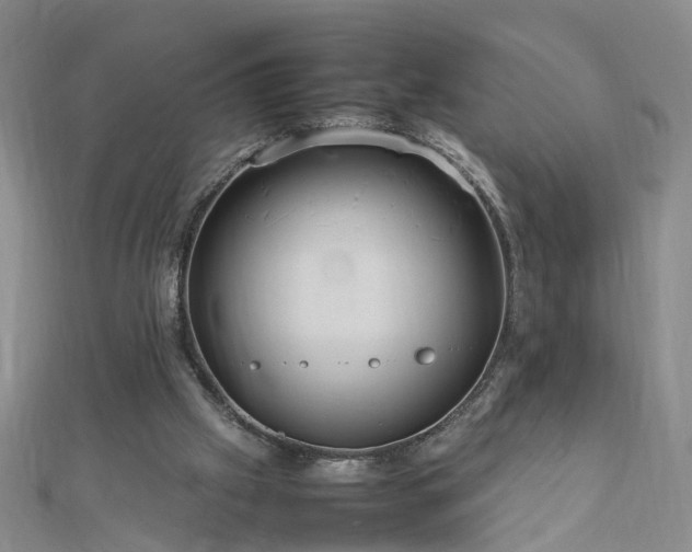 X0000112770057200908271650