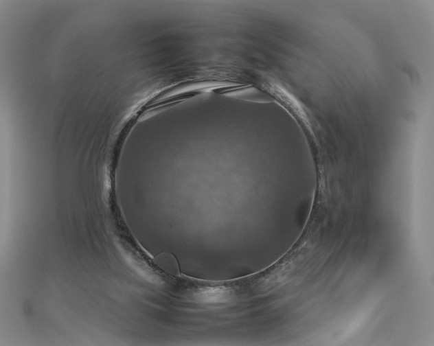 X0000112770059200908271650