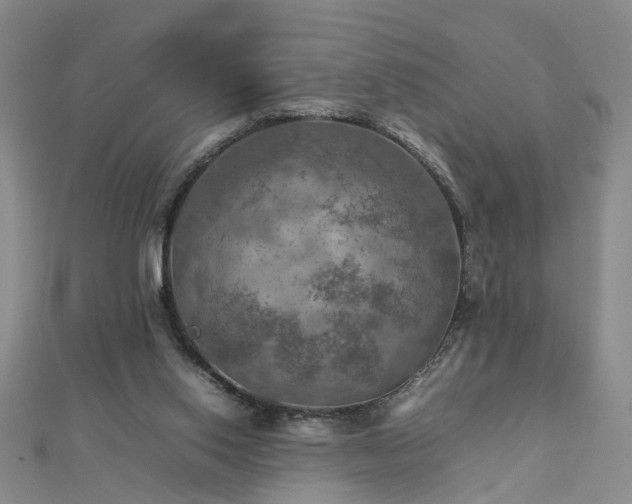 X0000112770062200908271650