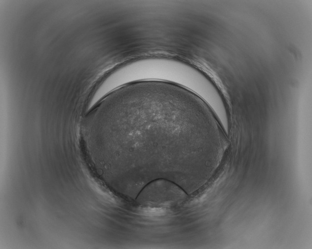 X0000112770063200908271650