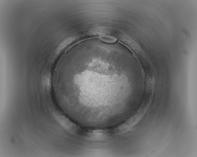 X0000112770064200908271650