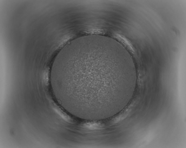 X0000112770065200908271650