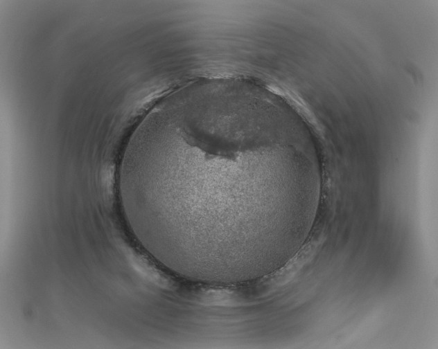 X0000112770066200908271650