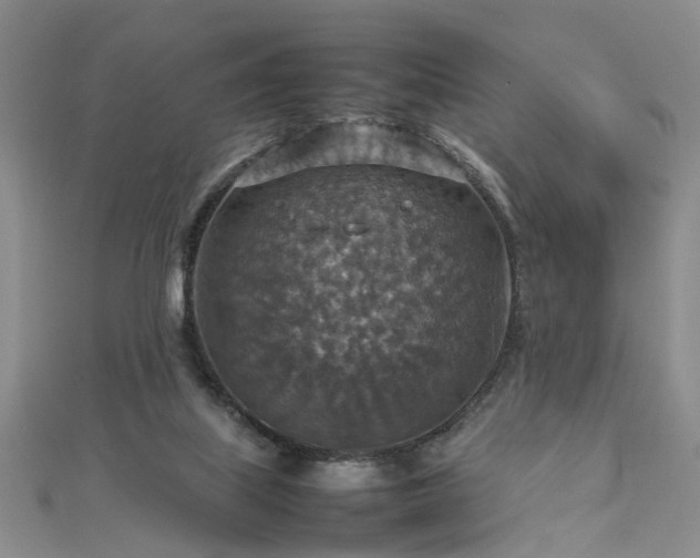 X0000112770067200908271650