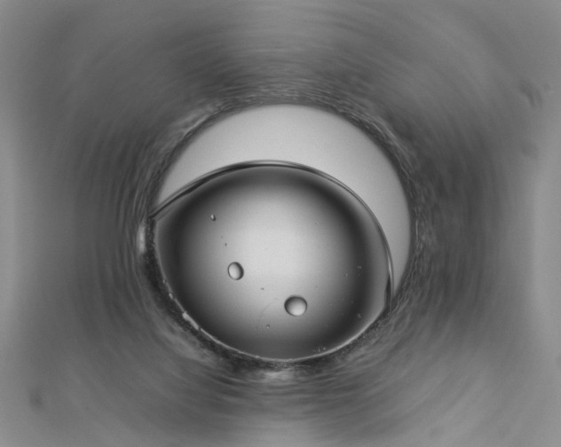 X0000112770068200908271650