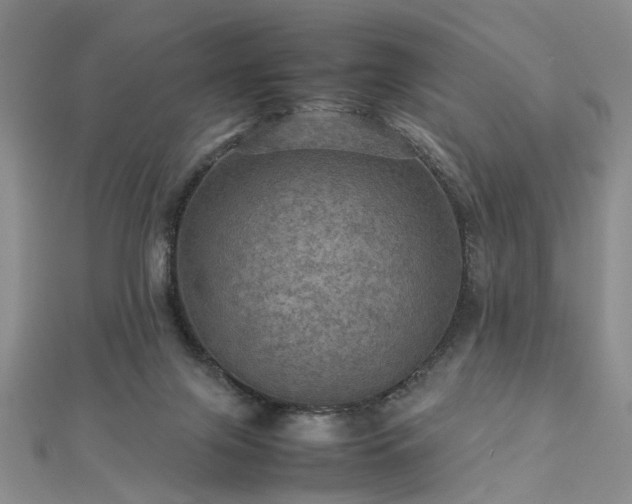 X0000112770071200908271650