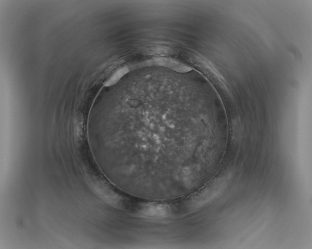 X0000112770073200908271650