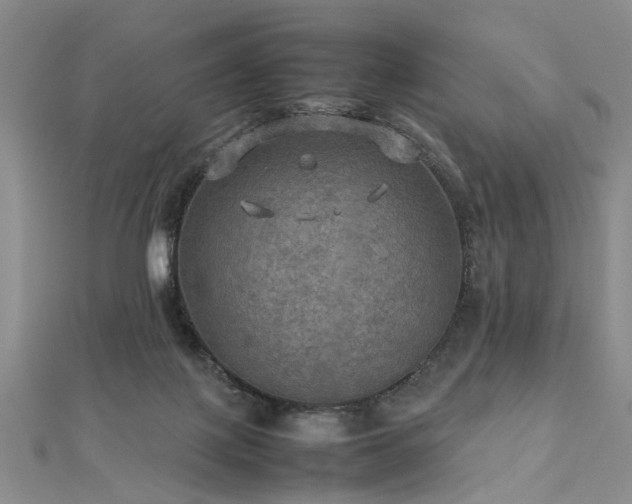 X0000112770075200908271650