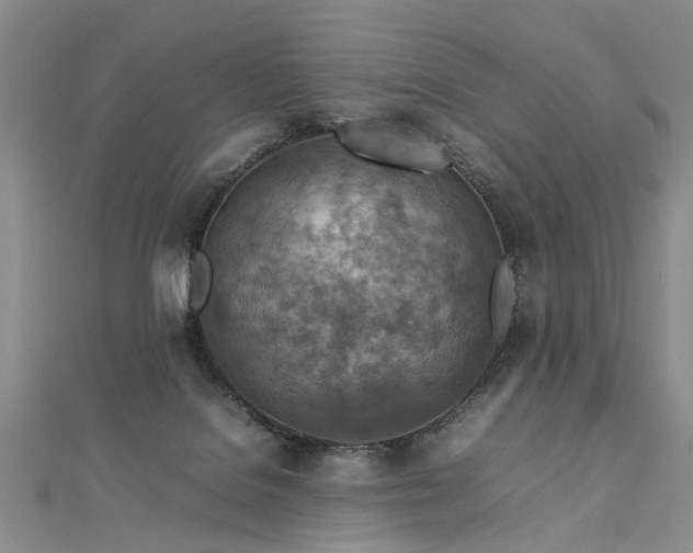 X0000112770076200908271650