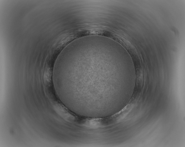 X0000112770078200908271650