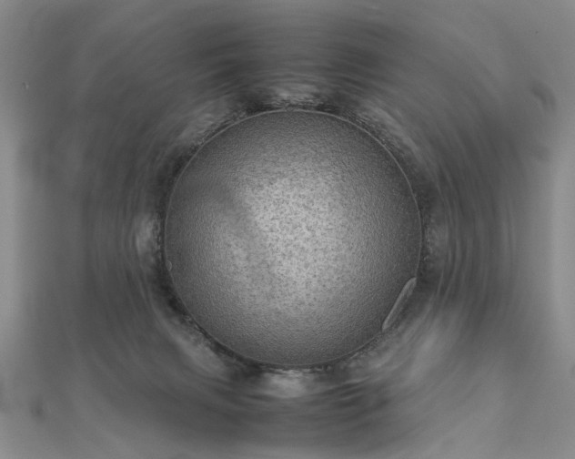 X0000112770079200908271651